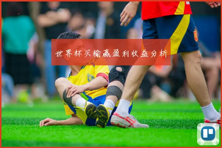 世界杯买输赢盈利收益分析